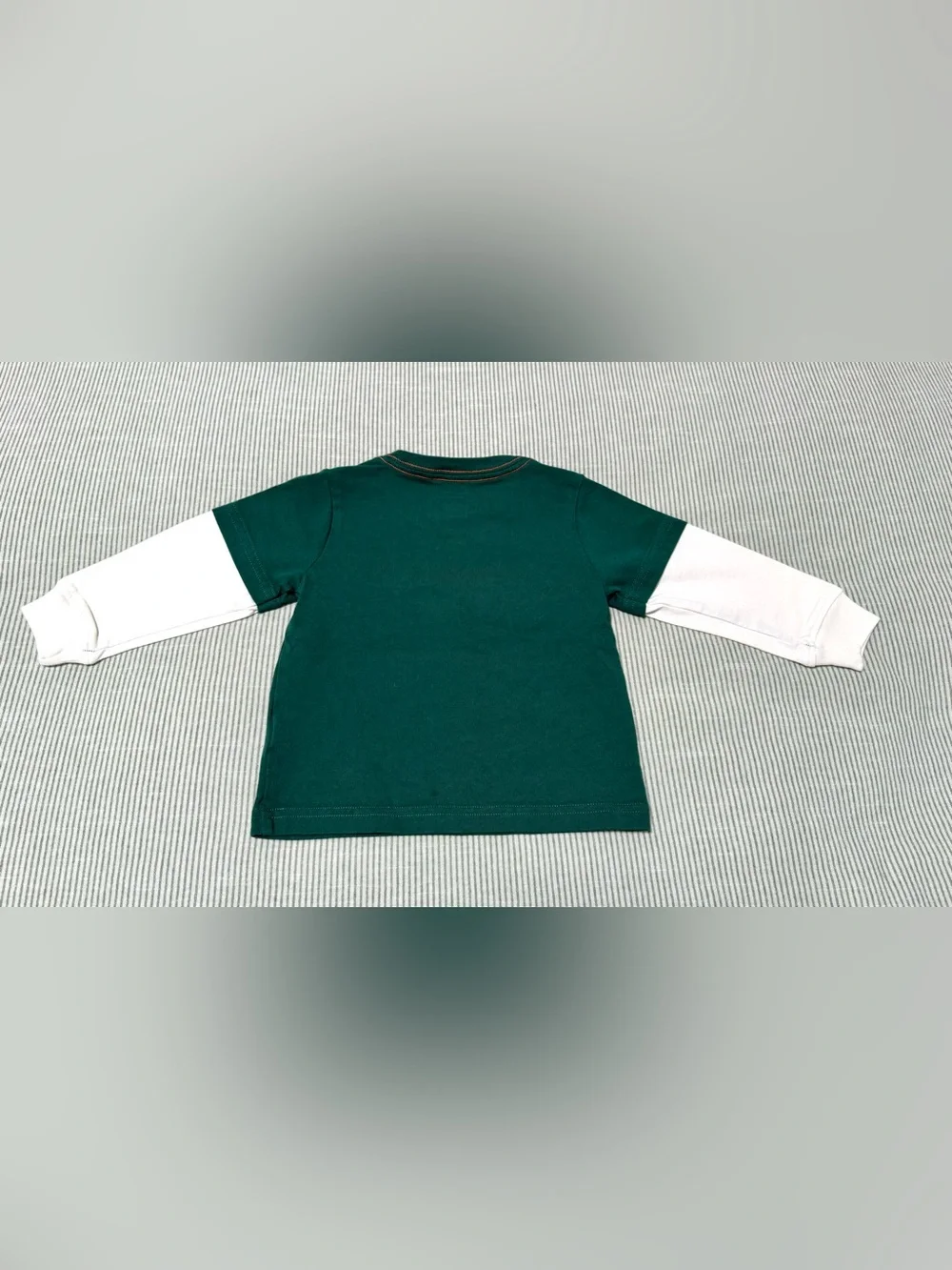 Gymboree Green Fox & Hedgehog Layered-Look Kids Long Sleeve Tee - Size: 12-18mo.